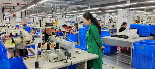 藍山委員提案助推產業大發展，央廣網聚焦社會經濟咨詢服務